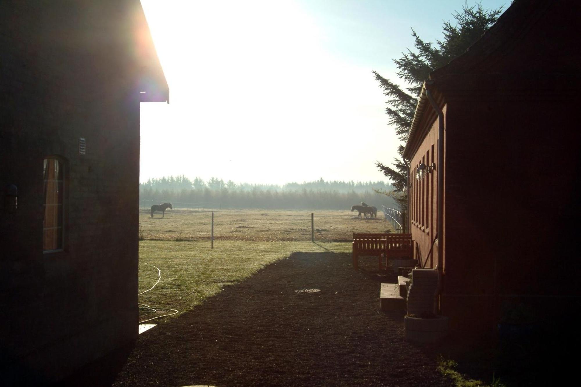 Nordkap Farm Holiday & Hostel Bindslev Exterior foto